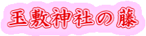ʕ~_Ђ̓